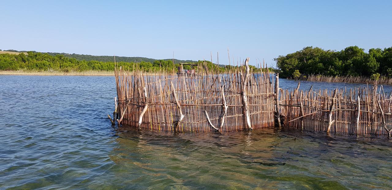 Kingfisher Bush Lodge Enkovukeni Zewnętrze zdjęcie